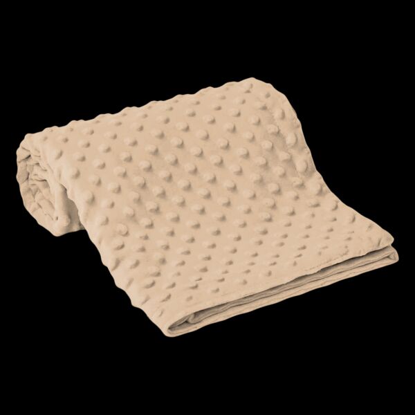 Brand Lab Minky Fleece Blanket Thumbnail