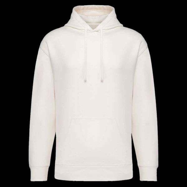 Native Spirit Unisex French Terry Hoodie Thumbnail