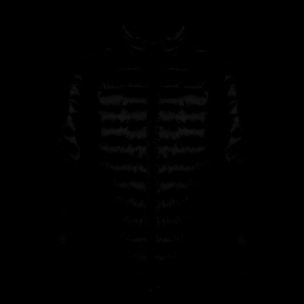 Result Urban Ice Bird Padded Jacket Thumbnail