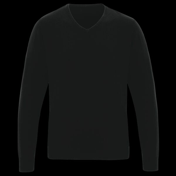 Premier Essential Acrylic V Neck Sweater Thumbnail