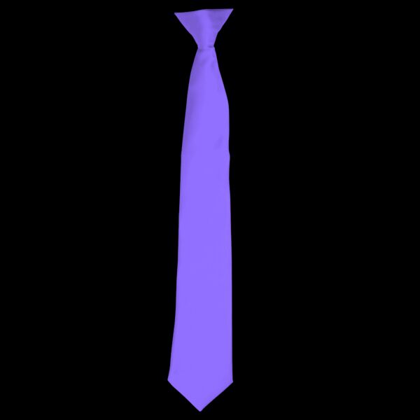 Satin Clip Tie Thumbnail